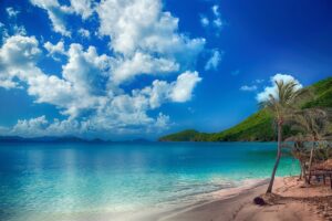 beach, tropical, palms-4162729.jpg